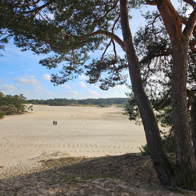 Oversteek Hulshorsterzand