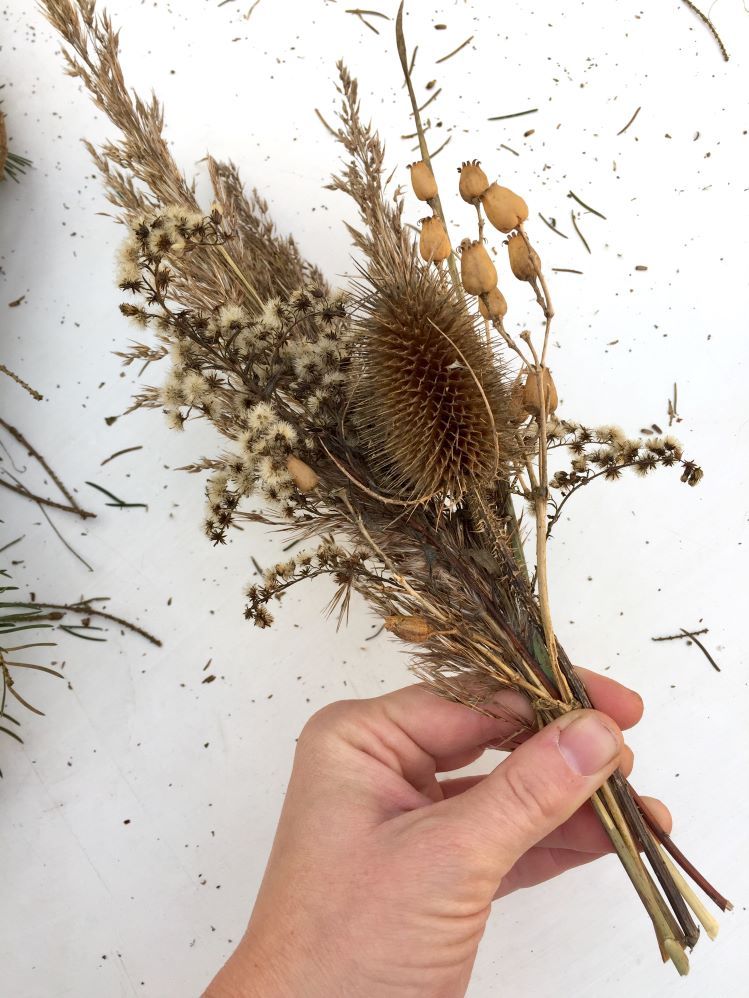 Een hand heeft een bos takjes vast