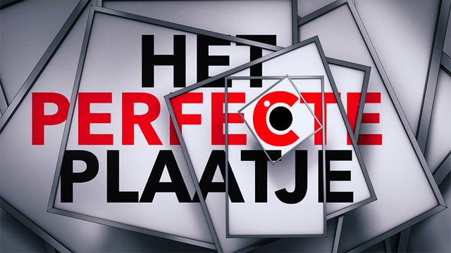 Logo Het Perfecte Plaatje - RTL4