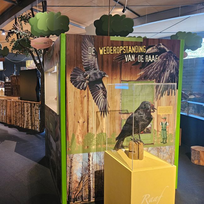 Wederopstanding raaf