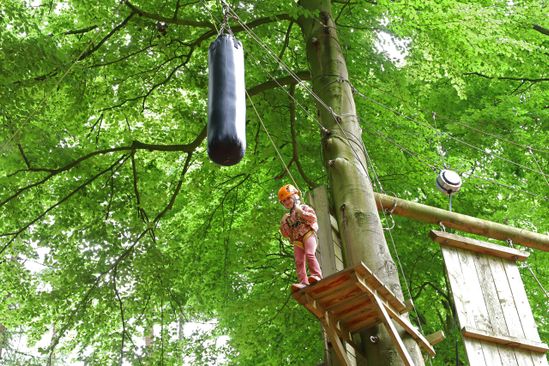 Rocks ’n Rivers Treetop Adventure Park | VisitBrabant