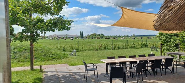 Vakantiehuis The Old Farmhouse, Montfoort, Groene Hart, terras met lange houten eettafel en stoelen onder zonneschermen met uitzicht op een groen weiland met grazende koeien in het open polderlandschap.