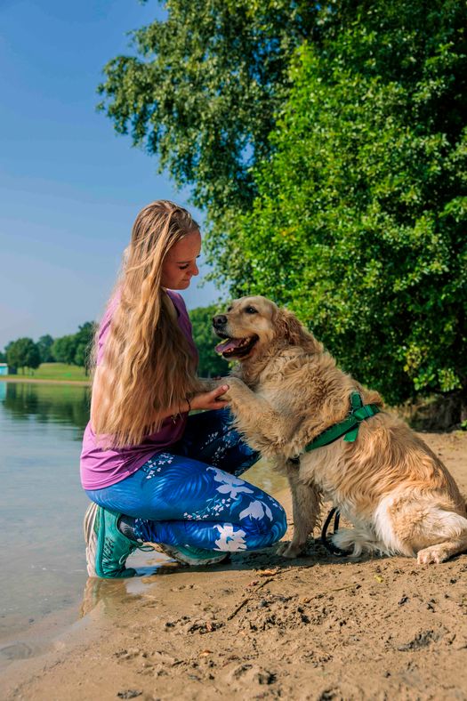 Hond geeft een pootje aan baasje op het strand
