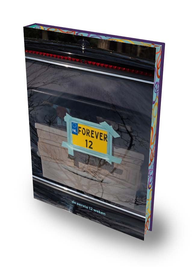 Voorkant van het boek Forever12