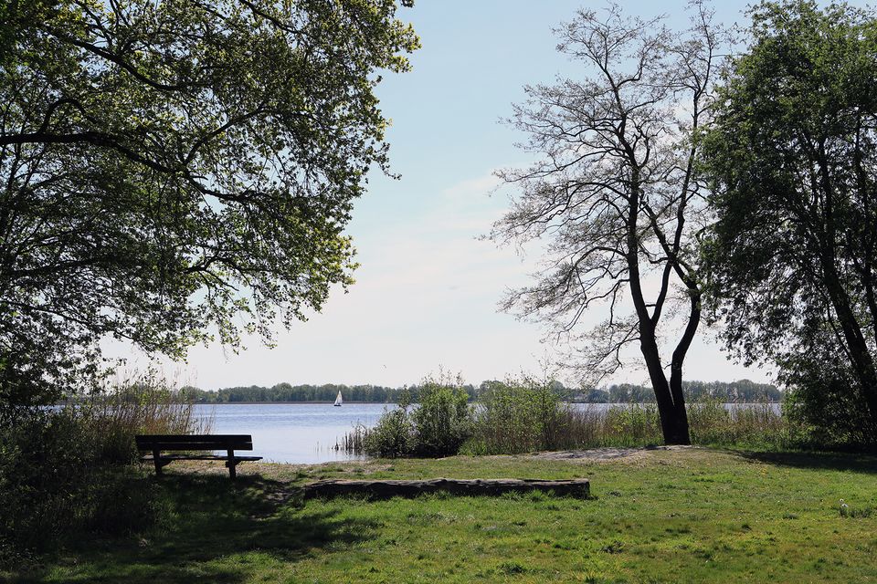 bankje met uitzicht op het Nannewijd