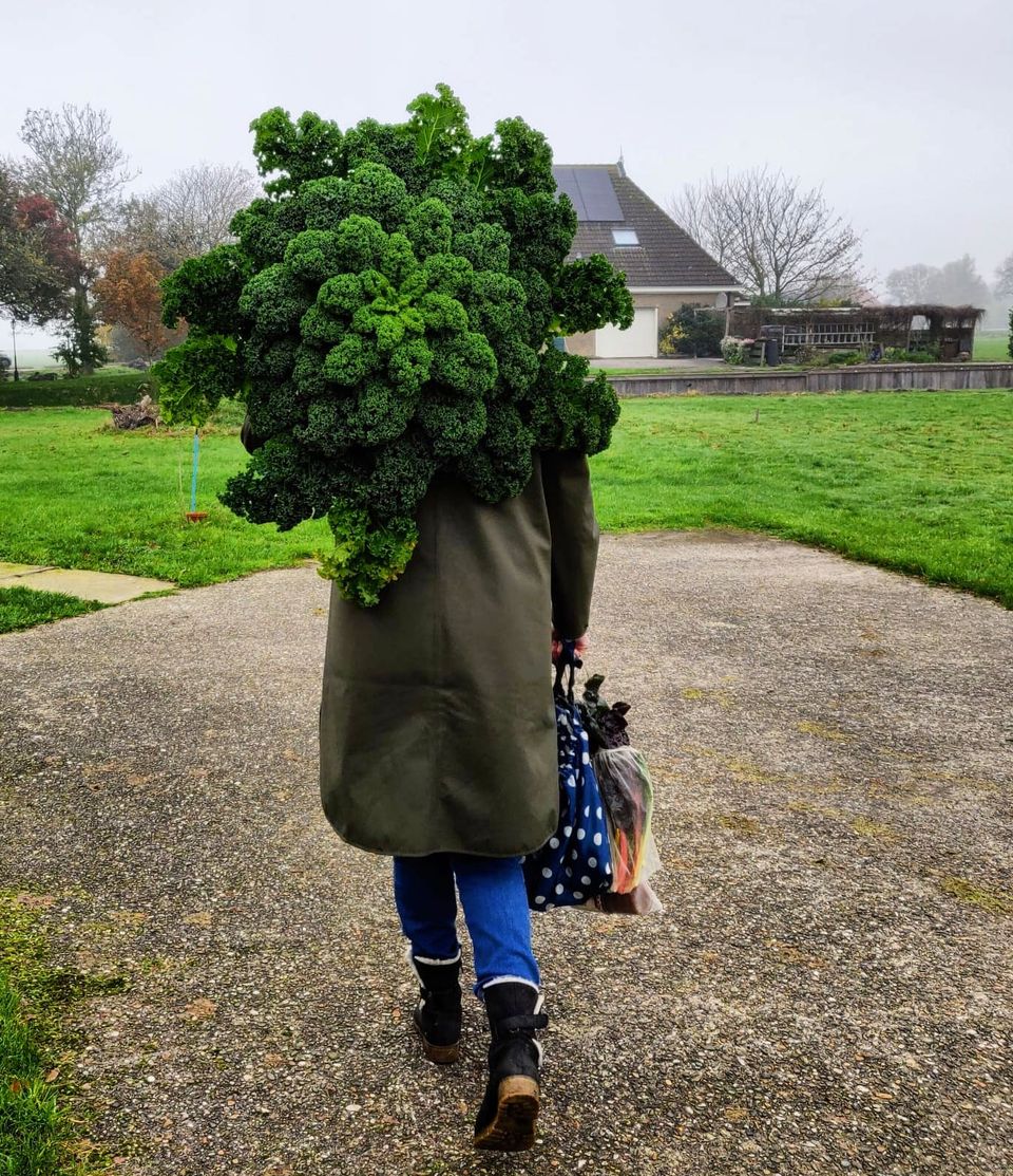 Vrouw met grote bos groenten