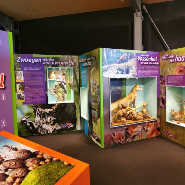 Expositie Bezoekerscentrum