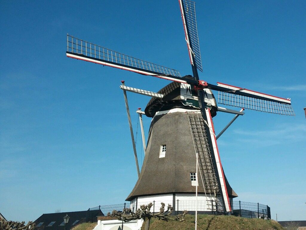 Molen Maria-Antoinette Deurne-Zeilberg