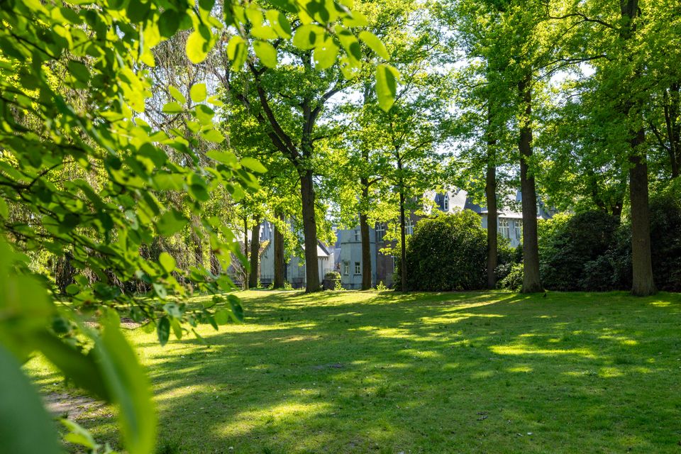 Kasteel Stapelen vanuit het gras
