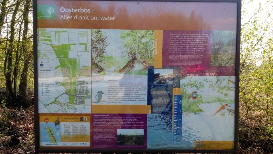 Het Oosterbos is een groen en rustig natuurgebied aan de rand van Emmen. Tussen de bomen, heide en open plekken vind je volop ruimte om te wandelen en te genieten van de natuur. Een fijne plek om even te ontsnappen aan de drukte.