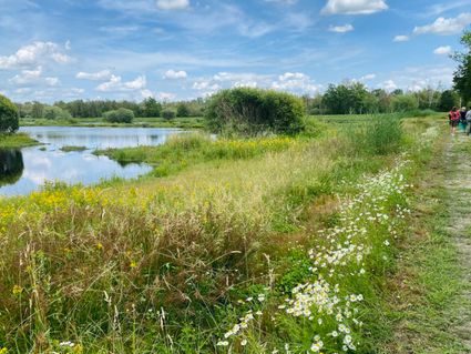 Wandeling en picknick