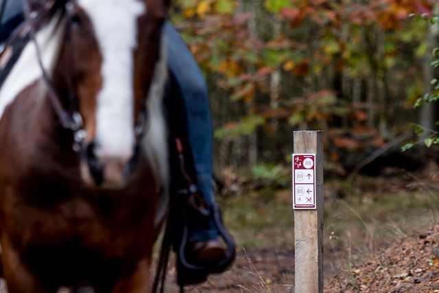 Bordje met ruiterroute en vaag een paard