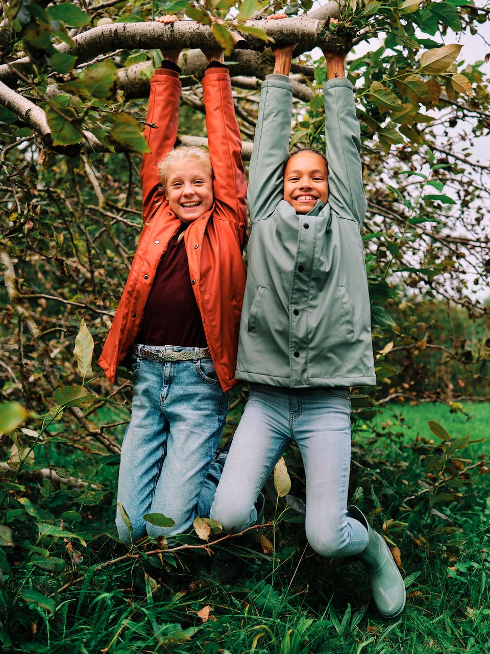 Kinderen hangen aan tak.