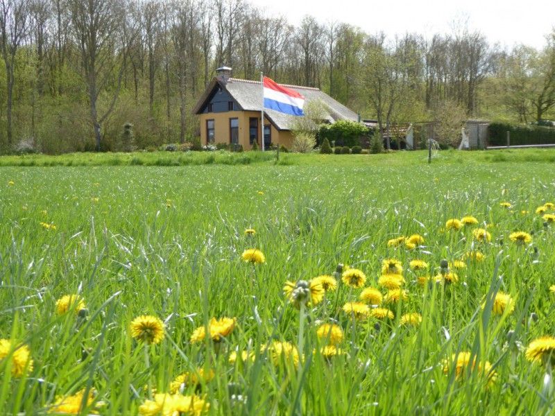 Gelegen in de Staatsbossen van Staatsbosbeheer