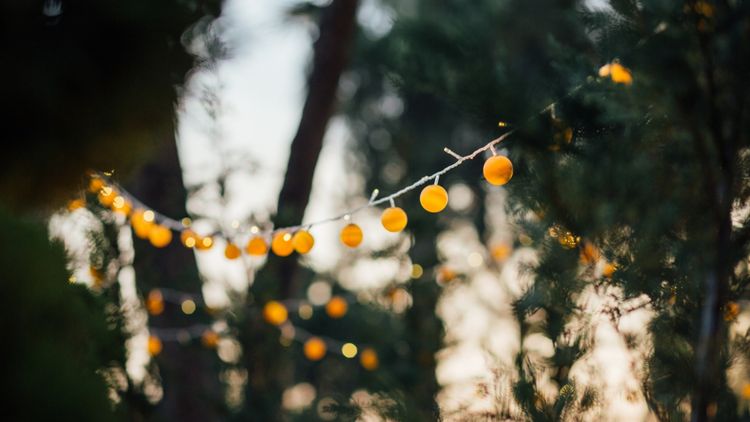 Fête de la Nature Deurne