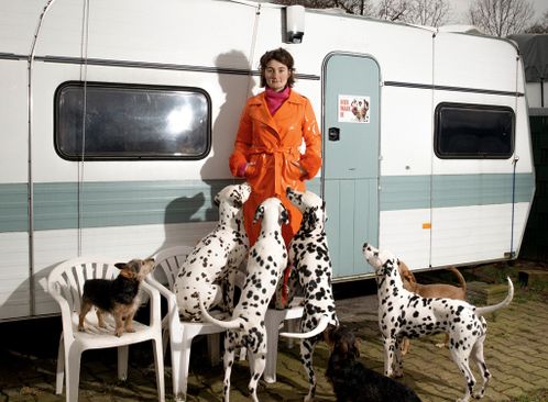 De Grootste Hondenshow ter Wereld in Nederland