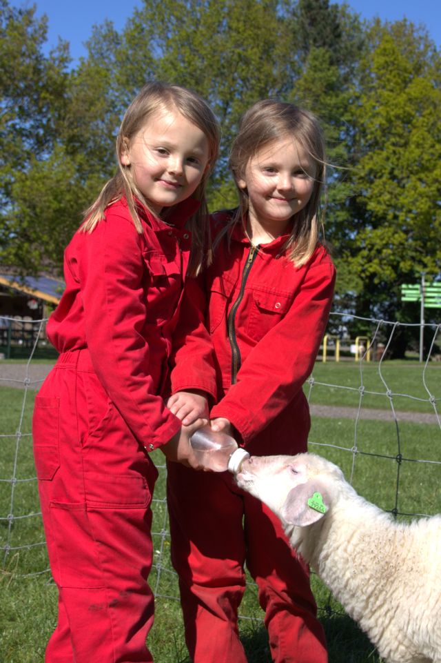 Geele bosch camping in het Andere Friesland
