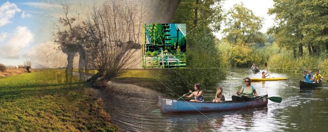 Van Gogh Nationaal Park in Noord-Brabant, een uniek landschap geïnspireerd door de werken en wandelingen van Vincent van Gogh, met aandacht voor natuurbehoud, duurzaamheid en cultuurhistorie