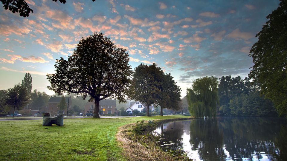 Groen stadspark in Woerden, Groene Hart, met grote oude bomen, grasveld en waterpartij onder een kleurrijke ochtendhemel. Foto: René Vaillant.
