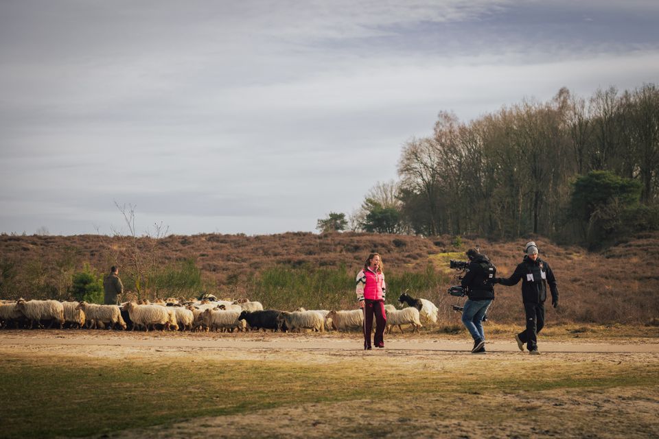 The passion opname hunebed