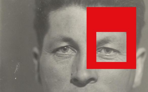 Rietvelddag 2026