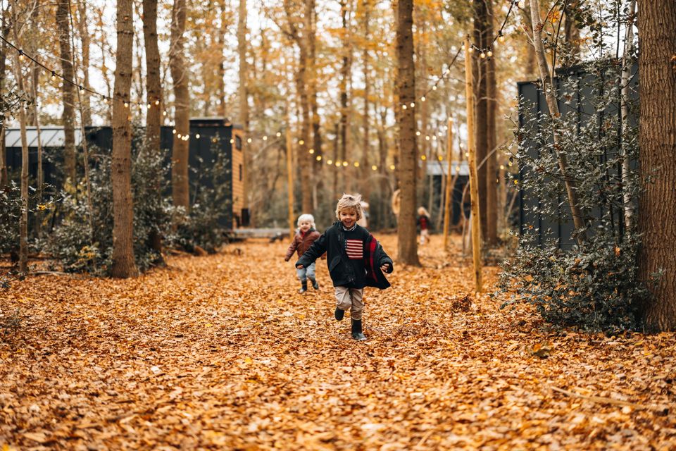 Kinderen rennen door een bos in de herfst