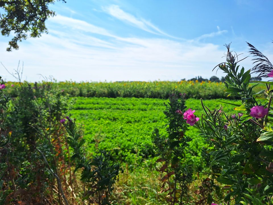 Kuiertocht Makkum