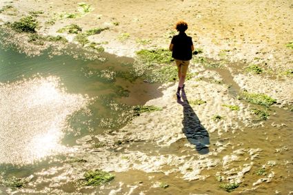 Zin om heerlijk te gaan wadlopen? Bij Jaap kan je al je wensen aangeven!