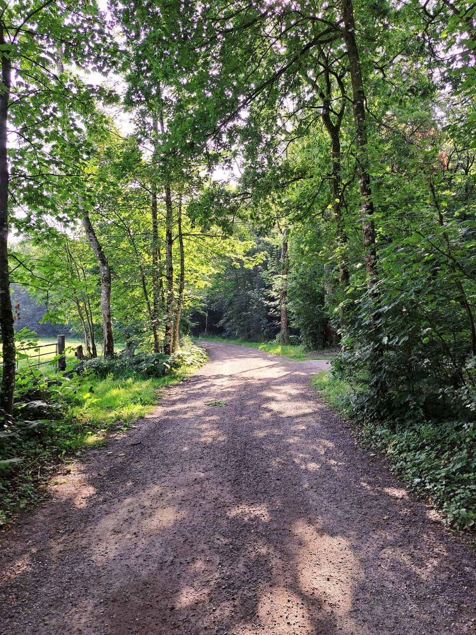 Adellijke wandeling door Oentsjerk en Mûnein