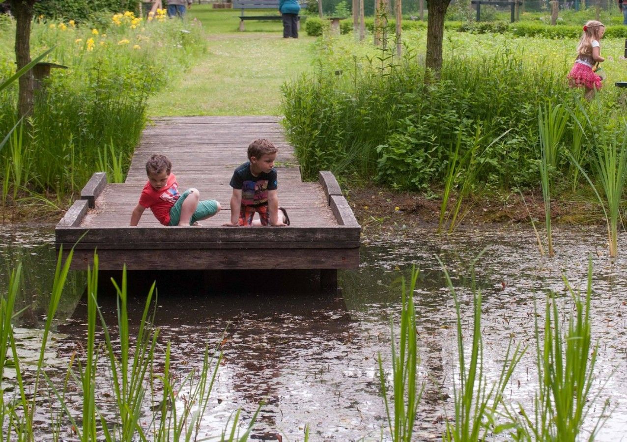 De Ossenbeemd- Paddenpoel