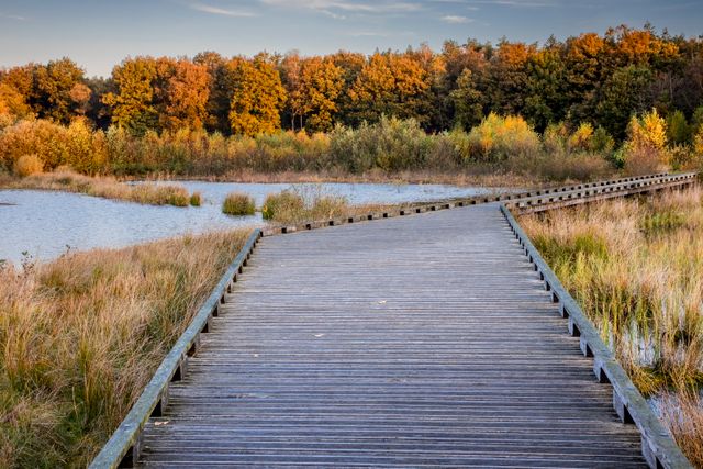 Een vlonder loopt over het water door een natuurgebied.
