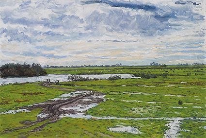 Een omgeving van Waterland