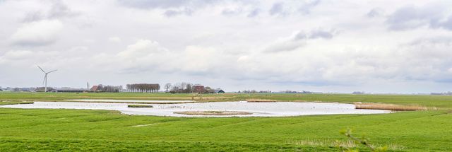 Winterachtige foto van Skrins
