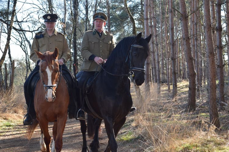 Komiezen in het bos