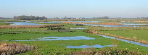 Uitzicht over de Eilandspolder
