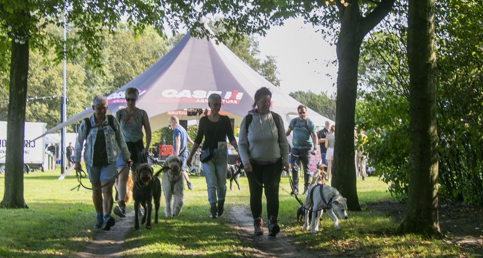hondenwandeling