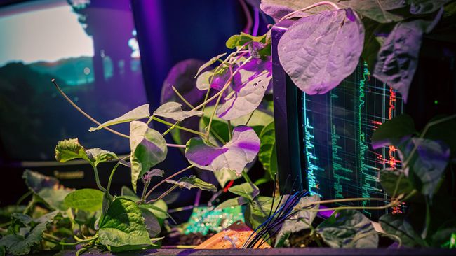 Ground: Expositie door Creative Coding Utrecht