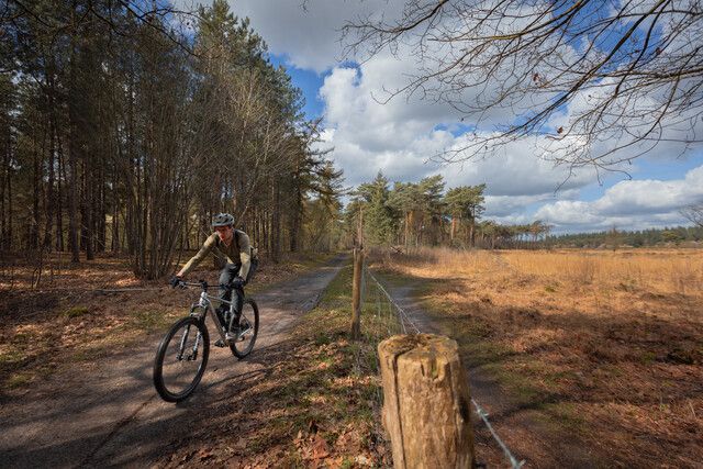 1 mountainbiker op de mountainbike route Zandbos Deurne