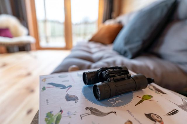 Neben einer Bank liegt ein Buch mit einem Fernglas darauf.