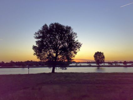 Zonsondergang boven rivier de Maas bij Megen