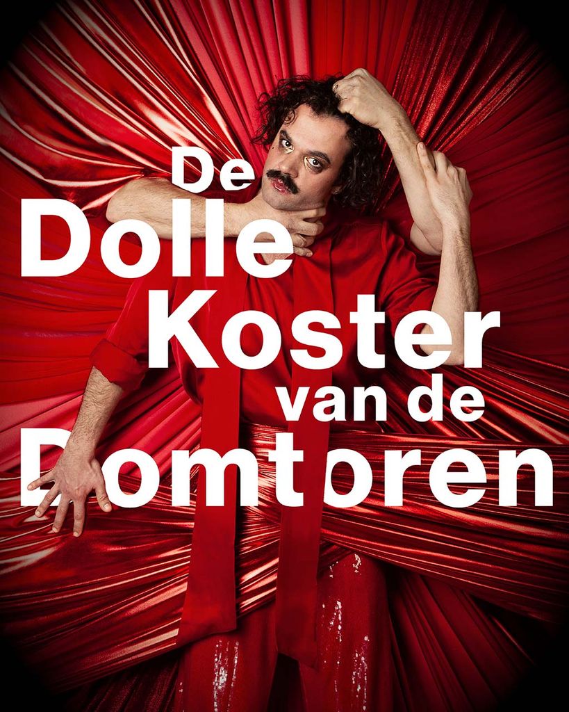 Aluin: De Dolle Koster van de Domtoren