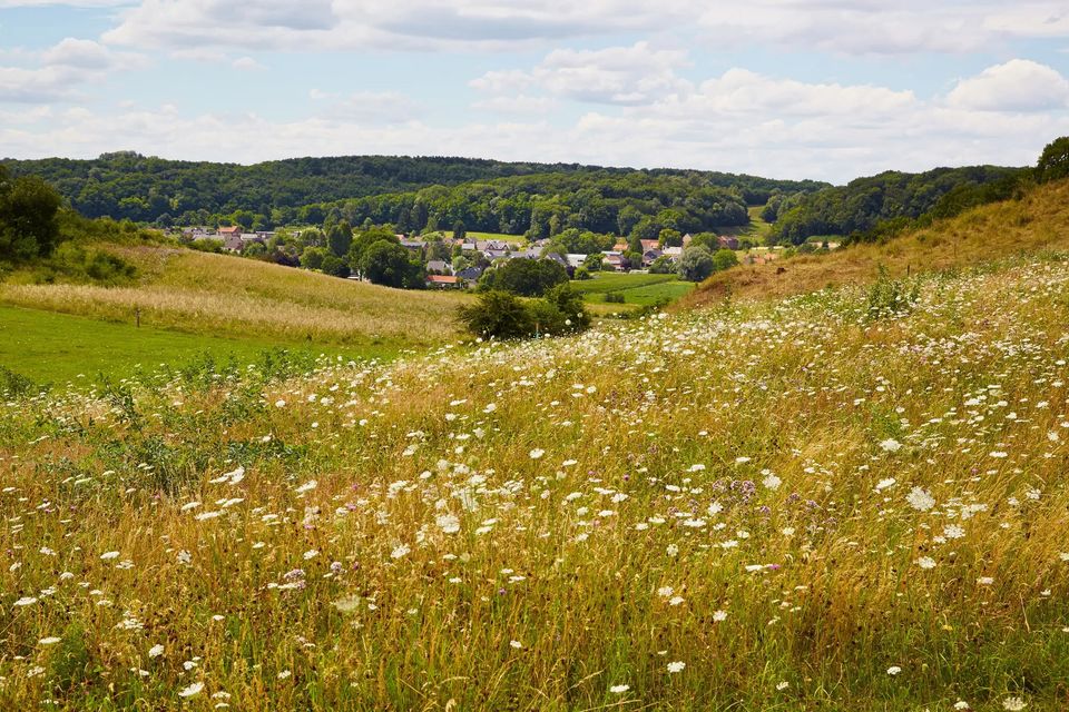 Nature Sint-Pietersberg (Saint Peter's Mountain)