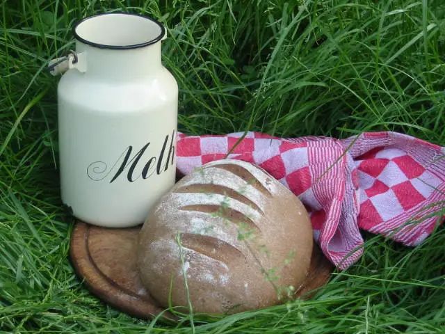 Een melkfles, een brood en een theedoek in een groen veld