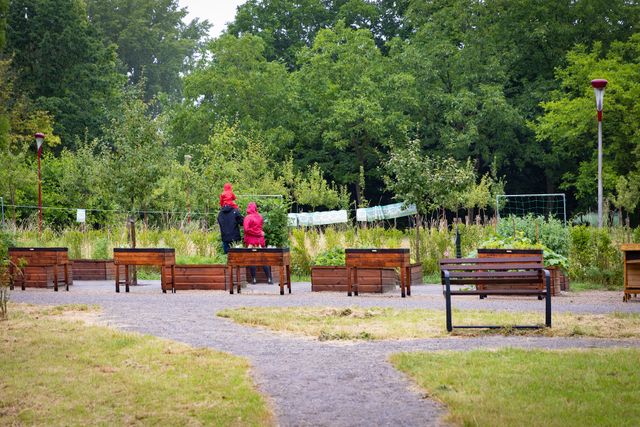 Een gezin kijkt naar de plantjes in de moestuin kokkebogaard terwijl het zachtjes regent