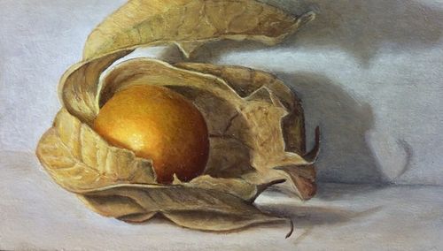 Werken van Anuschka de Smidt