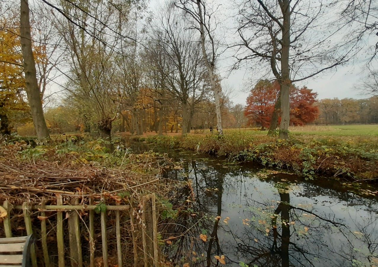 De Ossenbeemd