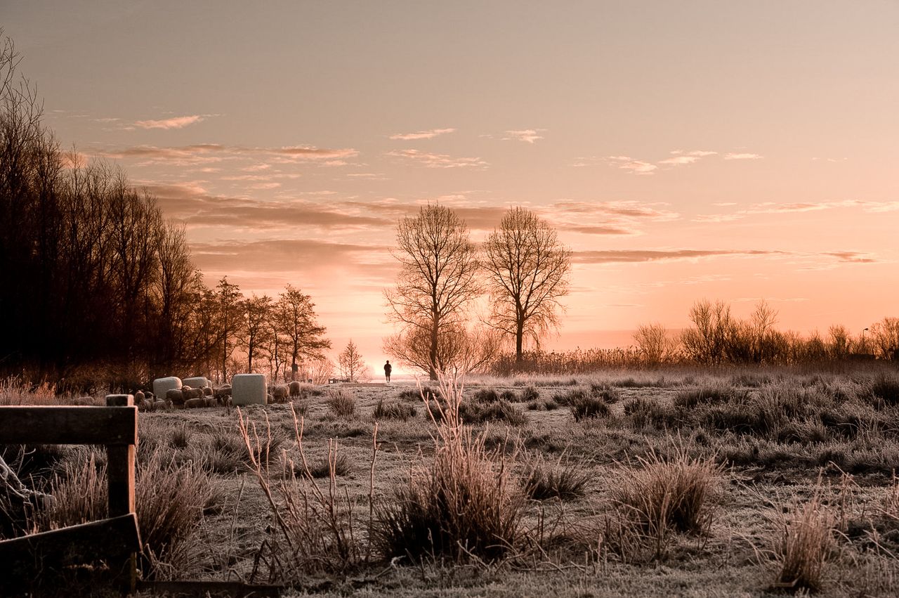 Zonsopkomst in Friese natuur