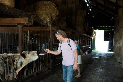 Foodsteps Ruinen, Wandel- of Fietsbeleving | 15 km