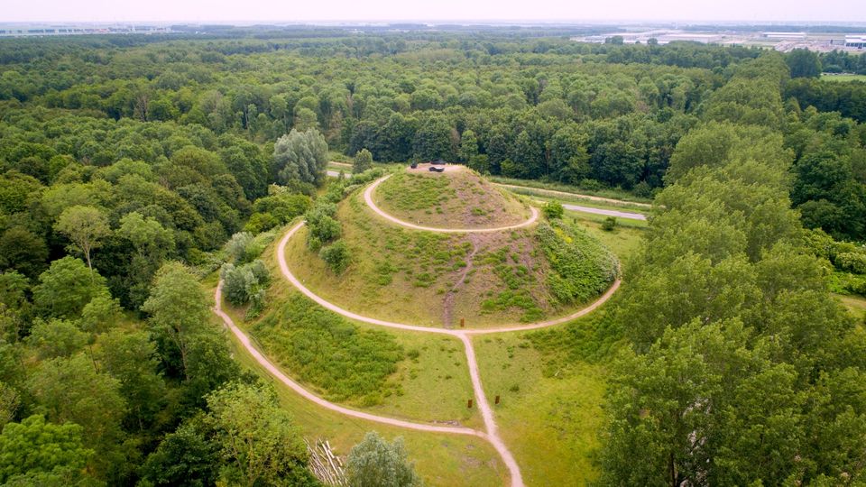Museumbos natuur almere