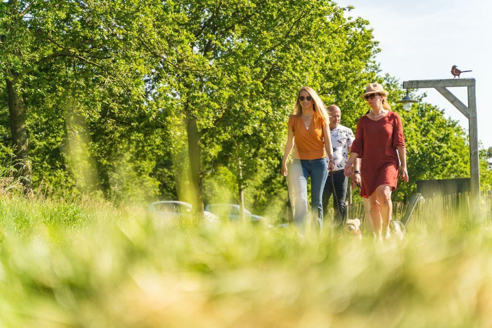 Wandelen in de weidse natuur in Someren